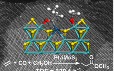 JACS：Pt1/MoS2单原子催化乙烯甲氧基羰基化