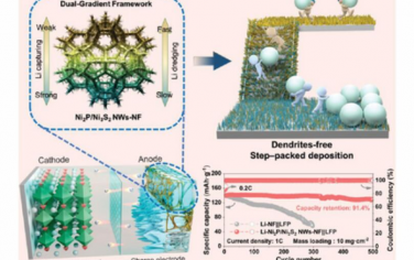 AEM：锂疏浚和捕获双梯度框架实现无树枝状锂金属阳极的分步填充沉积
