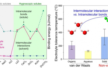 Angew：吸湿性溶质使非范德华电解质能够用于耐火双空气电池