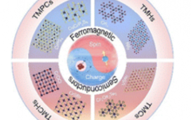Chem. Soc. Rev.：新兴的二维铁磁半导体