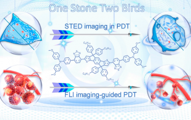  Nano Lett：高亮度AIE光敏剂用于实现超分辨率成像和光动力治疗