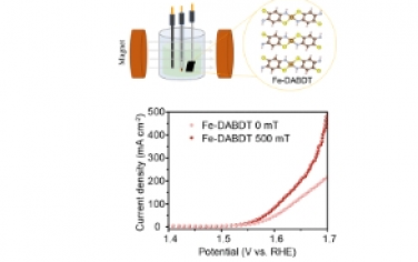 JACS：d-π 共轭聚合物的自旋磁效应增强水氧化中的 O-H 裂解