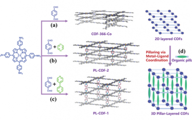 云南大学&江南大学Adv Mater：开发柱撑2D COF增强电催化还原CO2制CO