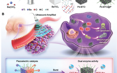 Adv. Mater：钯催化的黑色钛酸钡氢化以用于多酶-压电协同肿瘤治疗