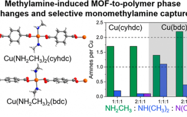 JACS：Cu羧酸金属有机配合物吸附分离甲胺