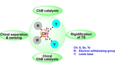 Chem. Soc. Rev.：硫键催化