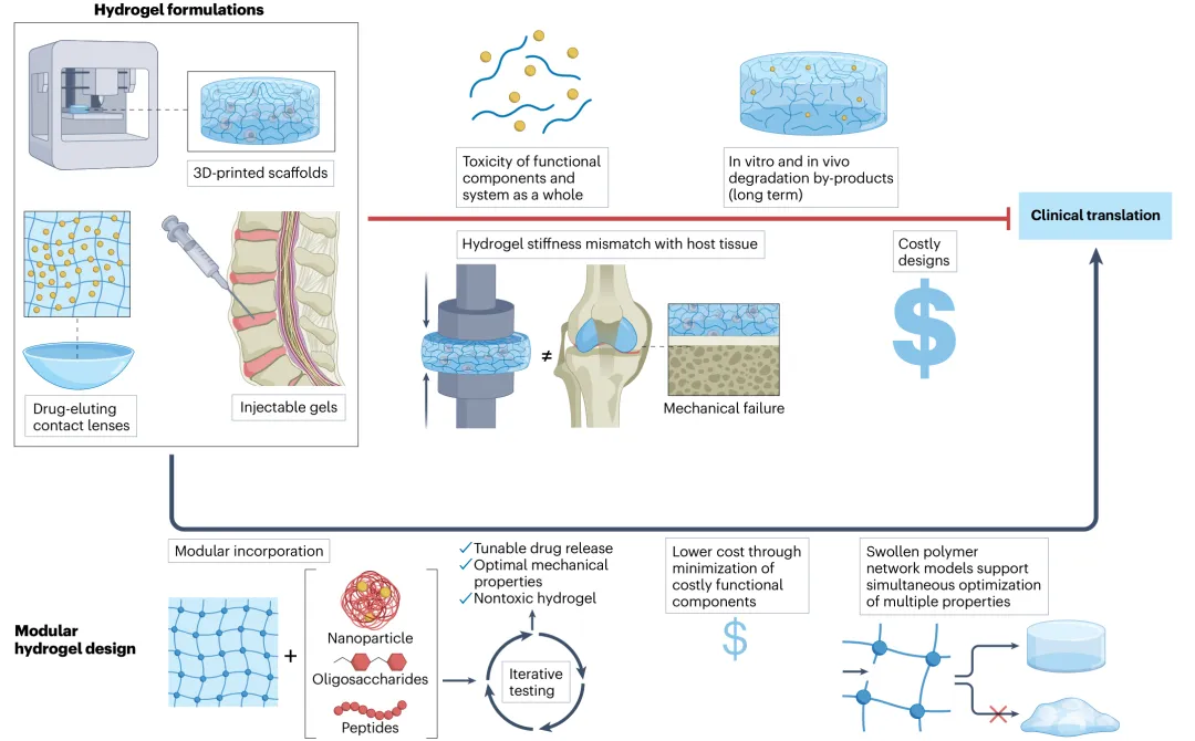 Nature Reviews Bioengineering：模块化水凝胶设计