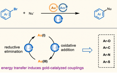 北理工JACS：光敏化Au催化芳基溴交叉偶联