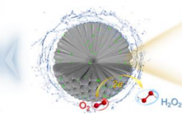 Angew：多孔碳载体调节微环境增强Pd纳米粒子电催化合成H2O2