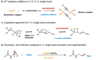 Nat. Commun.：锆和铪催化的碳碳单键硼氢化