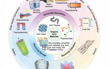 AEM：用于促进发电、储能和利用的有机离子材料设计