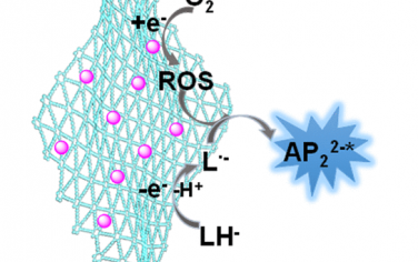 JACS：石墨炔基底担载Pd增强电致荧光