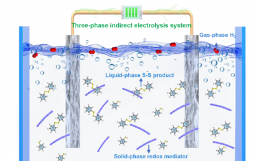 华南师范Angew：COF用于固-液-气三相电解