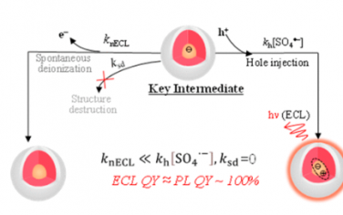 JACS：揭示量子点高效稳定电化学发光的机制