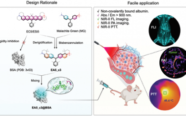 Adv. Mater：白蛋白伴侣化深近红外三芳基甲烷染料用于实现高对比度体内成像和光热治疗
