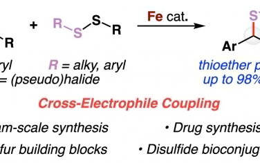 JACS：铁催化二硫化物和卞卤交叉偶联
