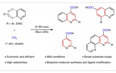 Nature Synthesis：可见光驱动合成N-杂芳族羧酸