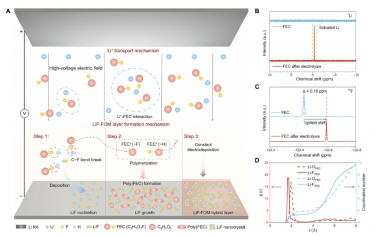 Science Advances：超高氟含量有机无机杂化物的高压电合成以实现快速锂离子传输