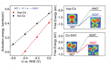 JACS：NO电催化还原反应选择性与Co结构的关系