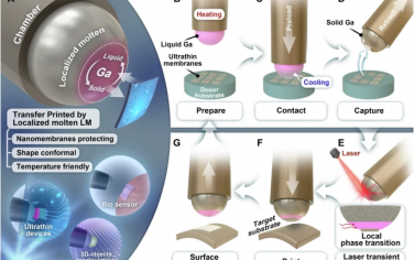 Nature Communications：用于无损传膜和3D物体打印的局部熔融液态金属印章的精确诱导技术