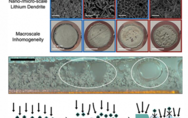 AEM：电解质相关气相演化触发金属锂电化学镀的宏观不均匀性