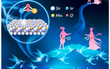 Angew：Ir-Mn双原子位点促进自由基偶联机理实现高活性高稳定OER催化