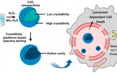 Nano Lett：定制CaO2纳米结构的工程结晶度梯度以最小化Ca2+/H2O2的生成和实现增强的抗癌活性