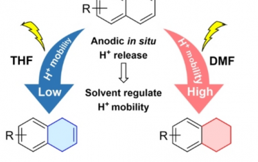 武汉大学Angew：多环芳烃化合物选择性电化学还原