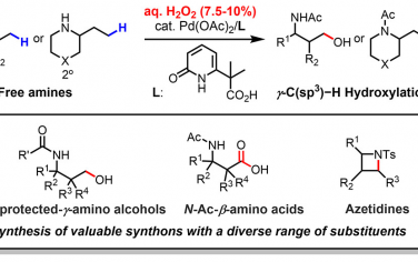 JACS：H2O2溶液对有机胺γ-C(sp3)-H键羟基化