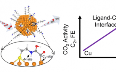 JACS：使用氨基硫醇配体-金属界面增强 CO2 反应捕获和转化