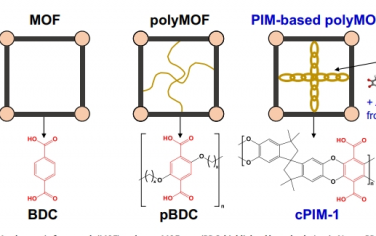 Nat Commun：由本征微孔聚合物配体构建的 PolyMOF 纳米粒子用于 CO2 分离的可扩展复合膜