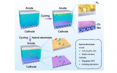 ACS Nano：基于协同阴极/阳极界面工程的高稳定水/有机混合锌离子电池