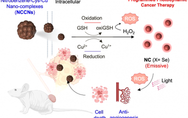 JACS：可激活的硝基苯-半胱氨酸-铜(II)纳米复合物用于程序性光动力癌症治疗
