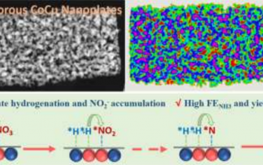 四川大学Angew：CoCu纳米片电催化还原硝酸盐合成氨&生物质氧化双功能电催化