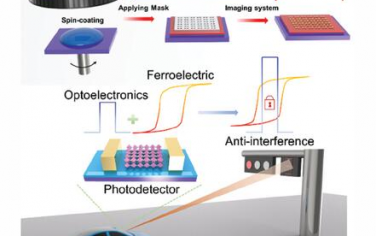 AFM：用于铁电偏振调制抗干扰视觉系统的2D钙钛矿/PVDF TrFE光电探测器