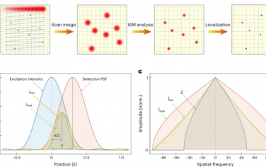 Nature Photonics：利用图像扫描显微镜将荧光寿命单分子定位显微镜的分辨率提高一倍