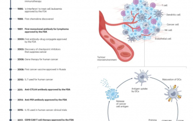 Nature Reviews Materials：响应性生物材料实现癌症免疫疗法的优化控制