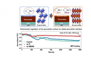 JACS：用于稳定倒置钙钛矿太阳能电池的钙钛矿界面从 1D/3D 到 2D/3D 的尺寸调控