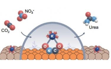 Angew：通过电极/电解质界面的中间组装实现可持续尿素合成的通用方法