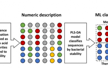 PNAS：MEnTaT：一种用于识别突变以提高蛋白质稳定性的机器学习方法