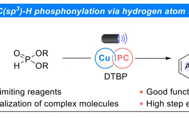 Angew：光催化C-H键官能团化合成烷基磷酸酯