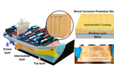 Nano Letters：用于金属结构腐蚀防护的耐损伤木质层