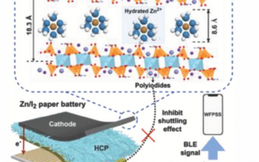 AEM：用扩展的Zn2+通道固定化多碘化物实现高倍率实用锌碘电池