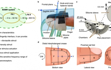 Nat Commun ：仿生适应性多平面机械振动触觉反馈系统