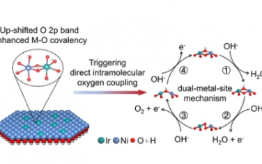 JACS：Ir单原子促进−上金属氧的共价性直接分子内氧偶联