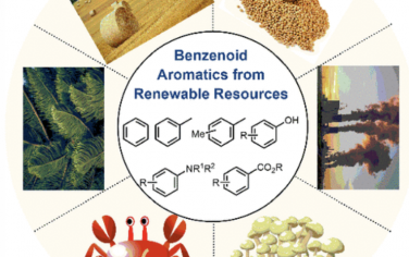 Chem. Rev.：可再生资源中的苯类芳烃