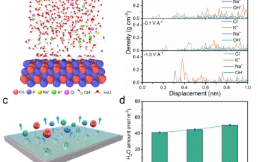 Nature Commun：耐盐腐蚀CoP电催化海水HER