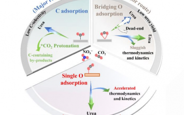 Angew：设计催化剂调节CO2吸附改善电催化合成尿素