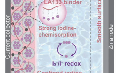 AEM：用于高负载和无穿梭锌碘电池的碘化学吸附粘合剂