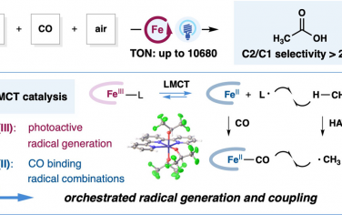上海有机所&匹斯堡大学JACS：Fe催化甲烷有氧羰基化合成乙酸